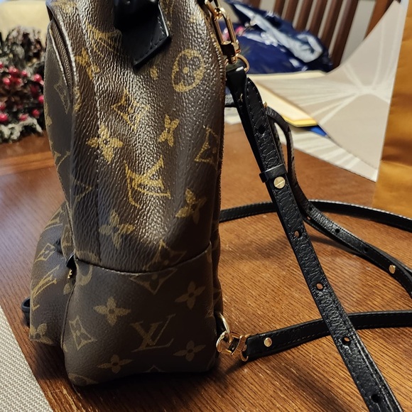 LOUIS VUITTON Palm Springs Mini Backpack - Picture 11 of 12